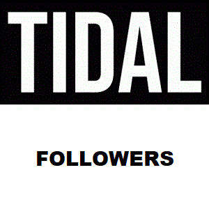 buy tidal followers